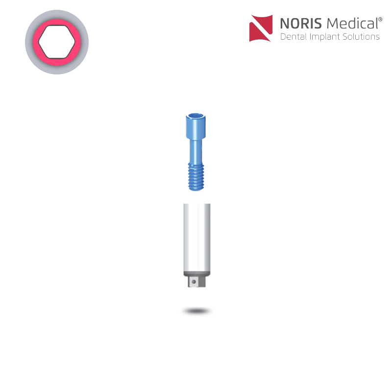 Noris Medical Zylinder mit Basis | Kunststoff-Kobalt-Chrom (PC-Co-CR)