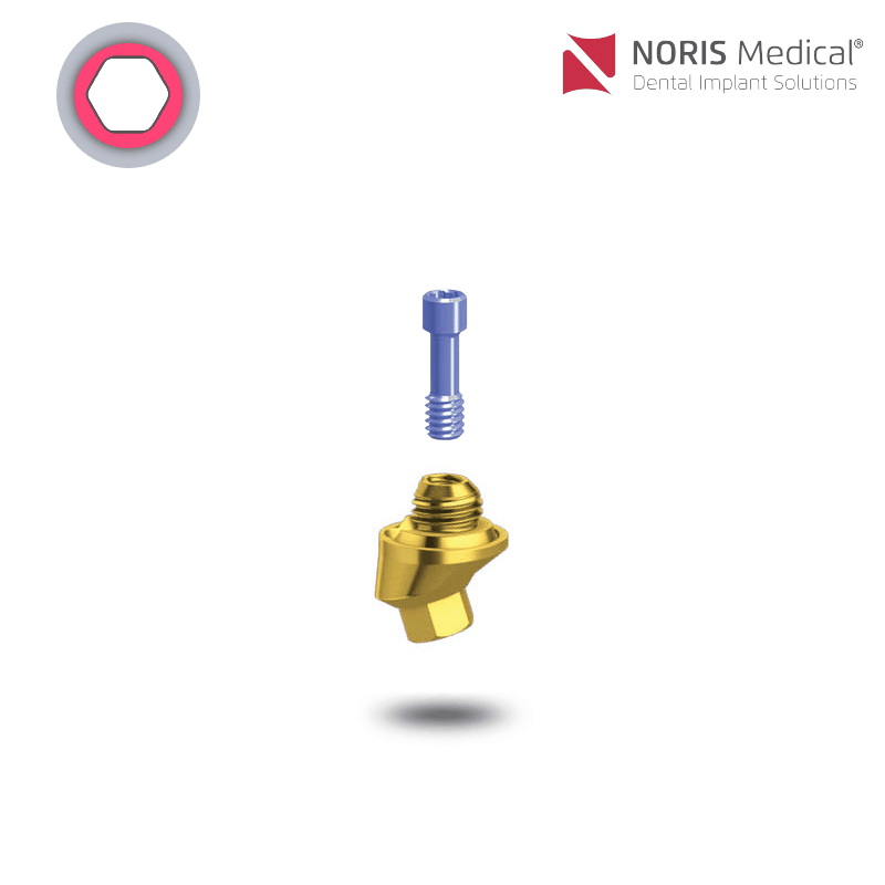 Noris Medical Vari-Connect Basis | 17° | GH: 2,0 mm Noris Medical Vari-Connect Basis | 17° | GH: 2,0 mm