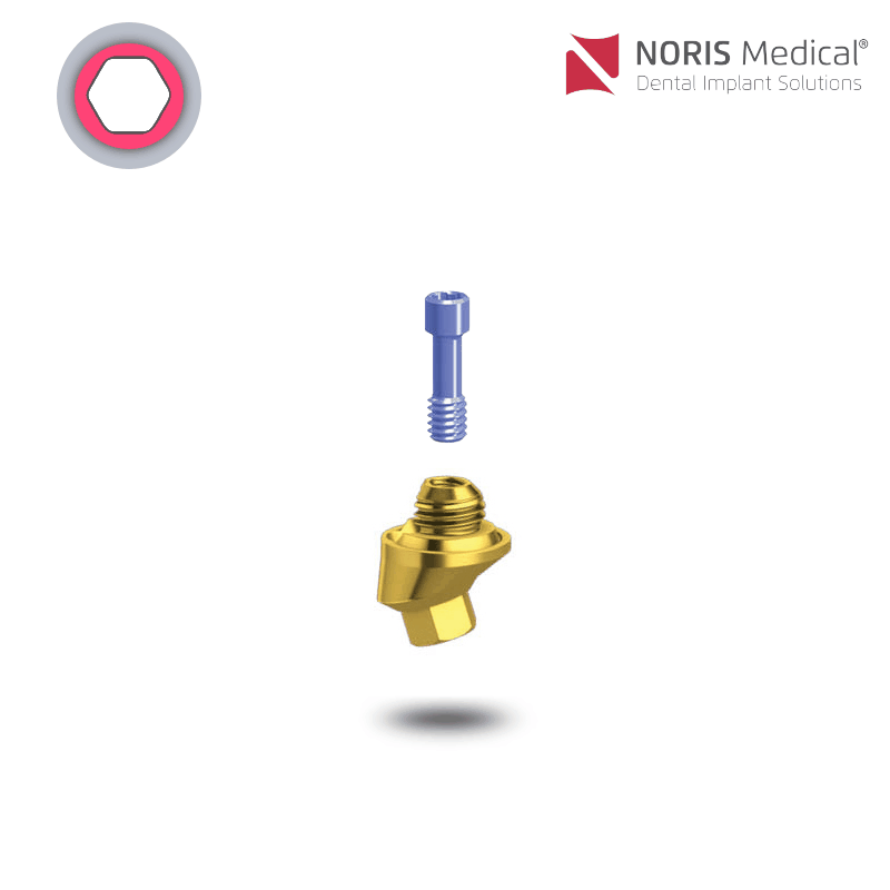 Noris Medical Vari-Connect Basis | 17° | GH: 2,0 mm