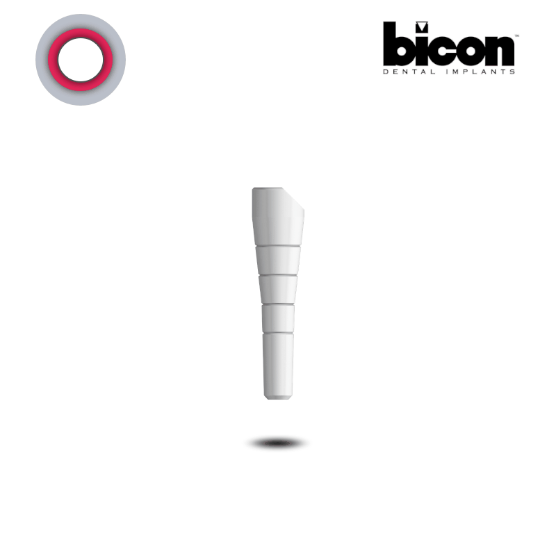 Bicon Scanbody 2,0 mm Schacht | ohne Zubehör