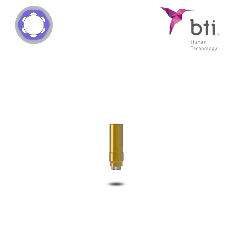 BTI Titan-Bioabutment (Ø 3,0 mm - 3.0) BTI Titan-Bioabutment (Ø 3,0 mm - 3.0)