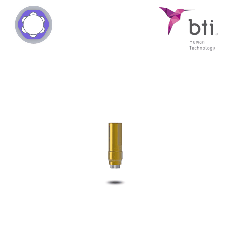BTI Titan-Bioabutment (Ø 3,0 mm - 3.0)