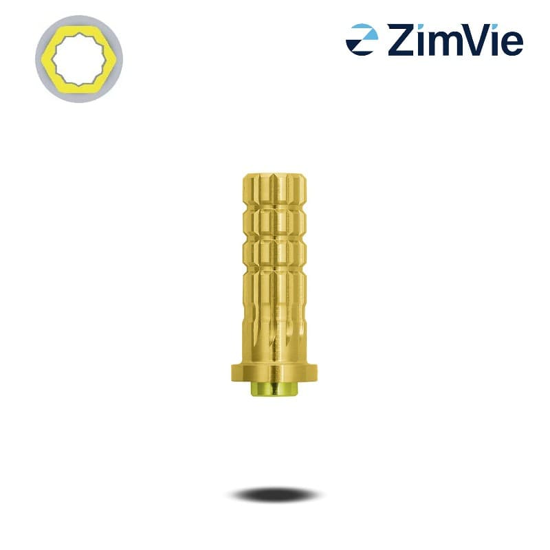 Biomet 3i PreFormance Zylinderprovisorium (Certain, 5,0 mm) | ohne Rotationsschutz | Titan
