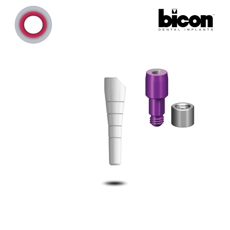 Bicon Scanbody 2,0 mm Schacht | mit Analog