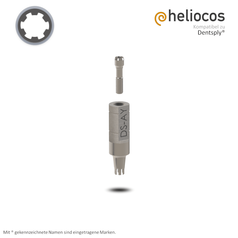 Dentsply® Scanbody Ankylos® | ohne Analog Dentsply® Scanbody Ankylos® | ohne Analog