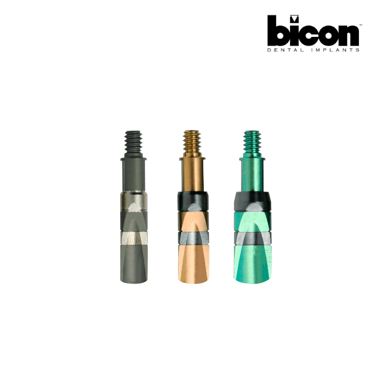 Bicon Gebogenes Meißel Kit