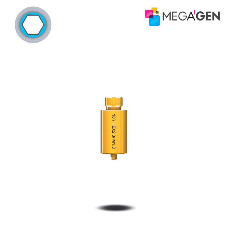 MegaGen Preface (TiGEN) Abutment