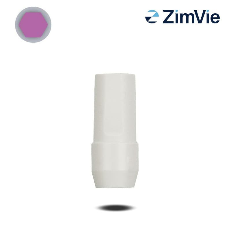 Biomet 3i PreFormance-Pfosten (Ext Hex, 3,4 mm) | 0° | GH: 4,0 mm Biomet 3i PreFormance-Pfosten (Ext Hex, 3,4 mm) | 0° | GH: 4,0 mm