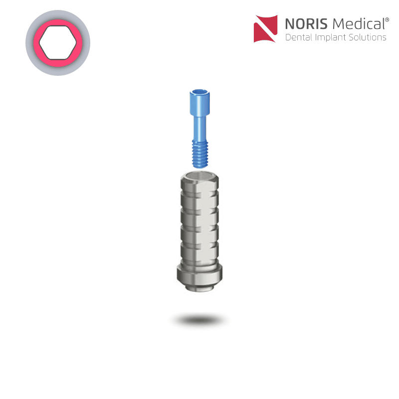 Noris Medical Temporärer Zylinder | ohne Rotationsschutz | Ø 3,8 mm