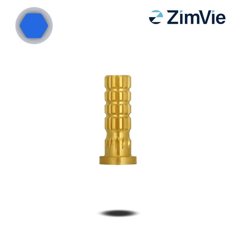 Biomet 3i PreFormance Zylinderprovisorium (Ext Hex, 4,1 mm) | mit Rotationsschutz | Titan Biomet 3i PreFormance Zylinderprovisorium (Ext Hex, 4,1 mm) | mit Rotationsschutz | Titan