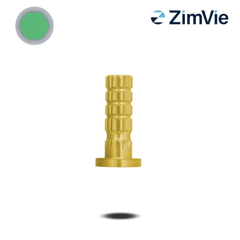 Biomet 3i PreFormance Zylinderprovisorium (Ext Hex, 6,0 mm) | mit Rotationsschutz | Titan Biomet 3i PreFormance Zylinderprovisorium (Ext Hex, 6,0 mm) | mit Rotationsschutz | Titan