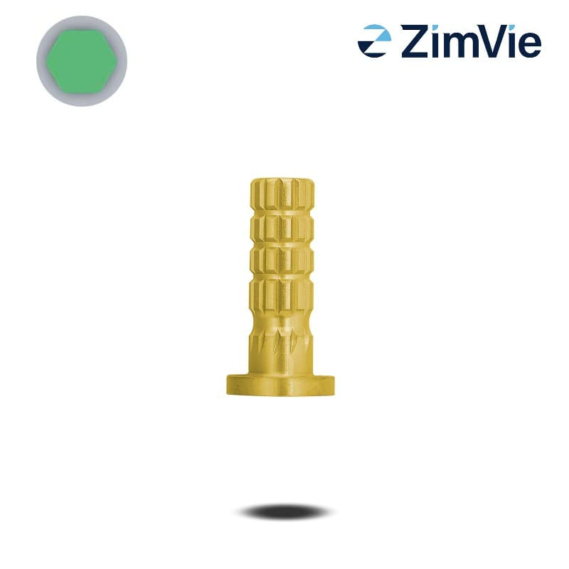 Biomet 3i PreFormance Zylinderprovisorium (Ext Hex, 6,0 mm) | mit Rotationsschutz | Titan