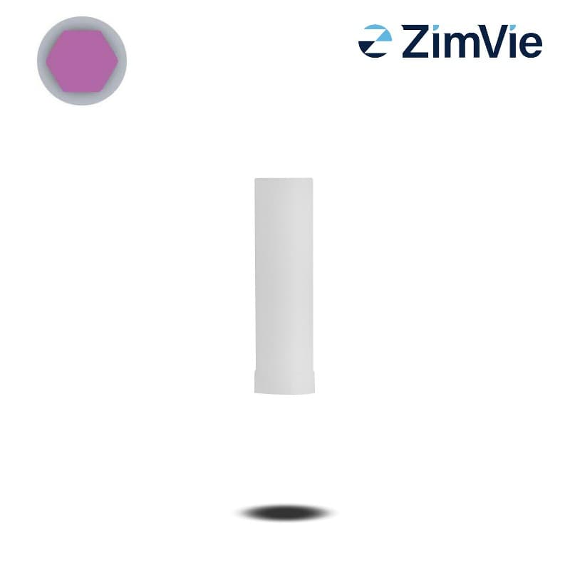 Biomet 3i UCLA Abutments (Ext Hex, 3,4 mm) | mit Rotationsschutz | Kunststoff (PC) | ohne Biomet 3i UCLA Abutments (Ext Hex, 3,4 mm) | mit Rotationsschutz | Kunststoff (PC) | ohne