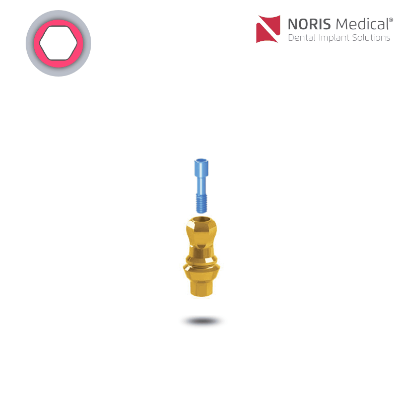 Noris Medical Snap-On Abformpfosten | GH: 2,0 mm | ohne Zubehör Noris Medical Snap-On Abformpfosten | GH: 2,0 mm | ohne Zubehör