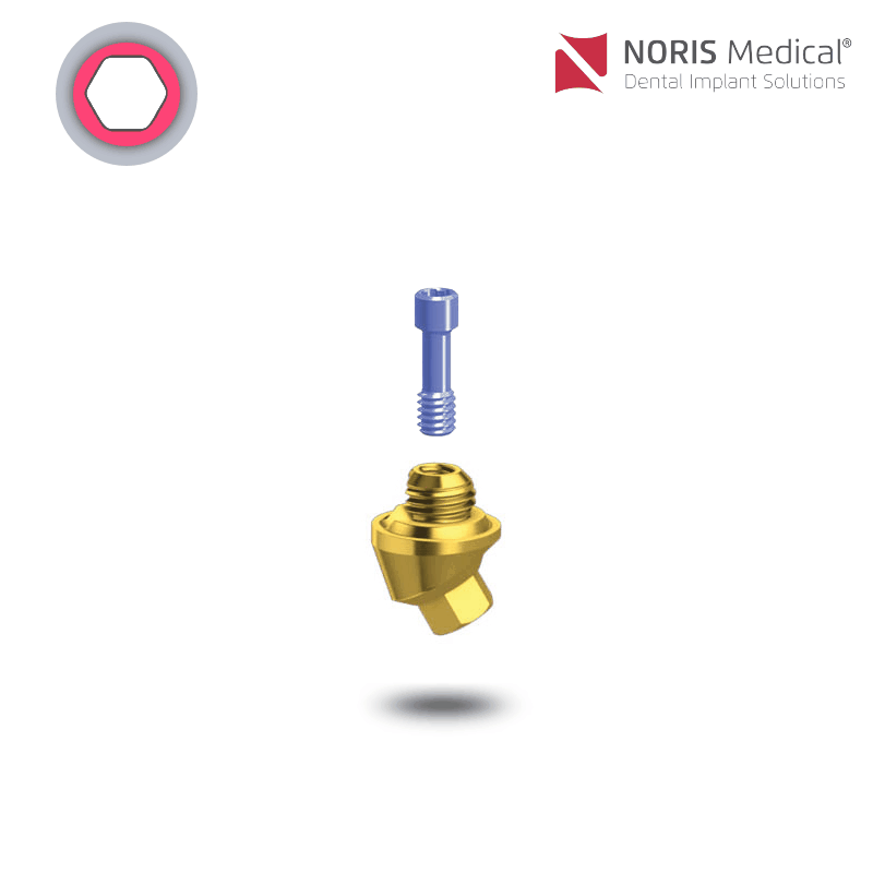 Noris Medical Vari-Connect Basis | 30° | GH: 2,0 mm Noris Medical Vari-Connect Basis | 30° | GH: 2,0 mm