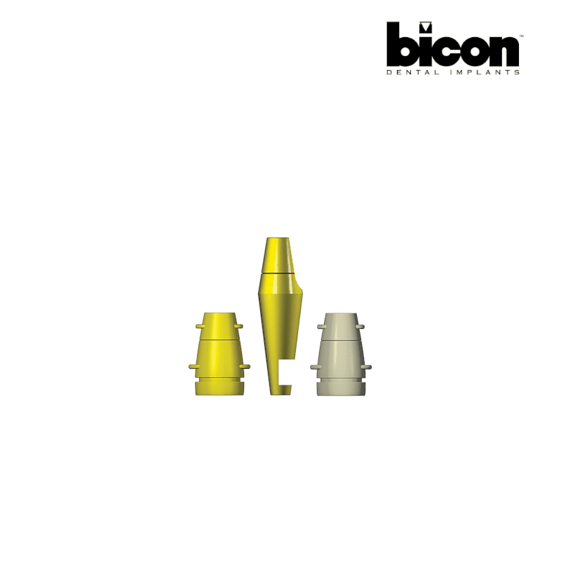 Bicon Abformungs-Kit für Abutment ohne Schulter | Ø 5,0 mm | Höhe: 6,5 mm