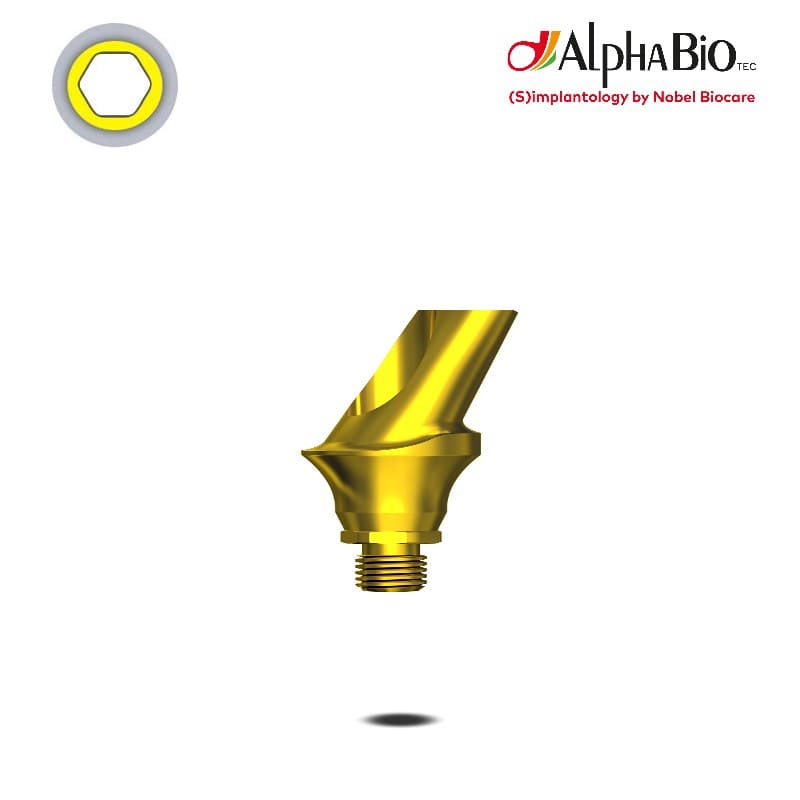 Esthetic Abutment (CHC)